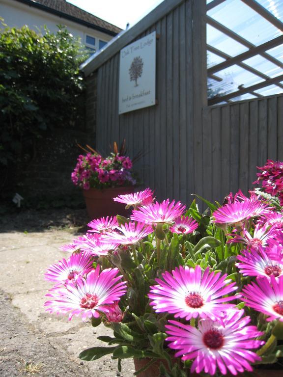 Oak Tree Lodge&Holiday Parking Burstow Dış mekan fotoğraf